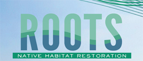 Roots Native Habitat Restoration