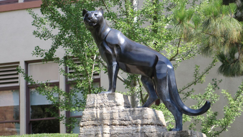 panther status on campus