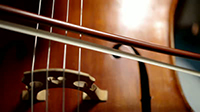 Cello with bow.