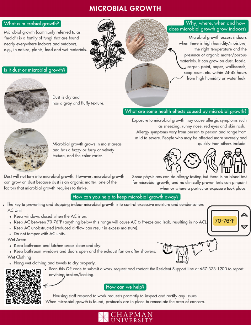 Microbial Growth Infographic