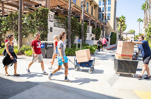 A student and their family members walk across campus on a bright and sunny day, transporting full moving boxes on carts.