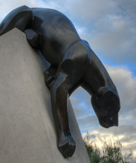 Pete Panther Profile