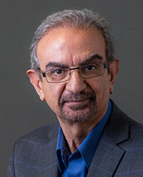 Dr. Reza Mehvar