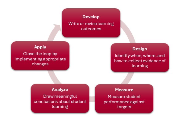 Assessment Cycle Infographic