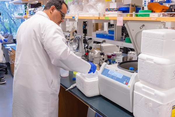 A student works in a lab.