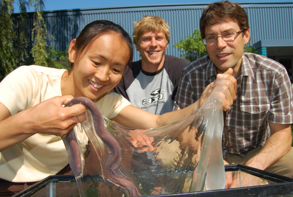hagfish at Chapman University