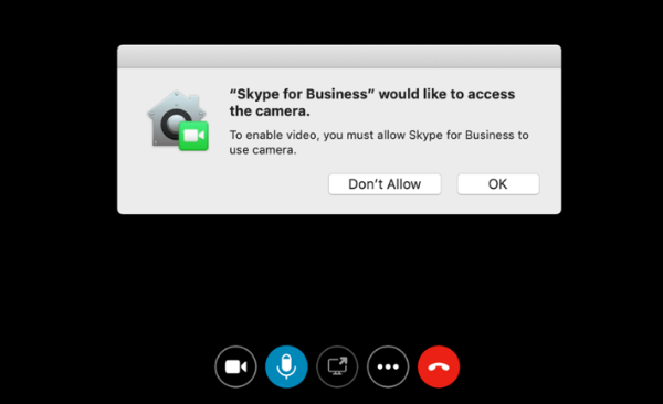 skype for business enable video