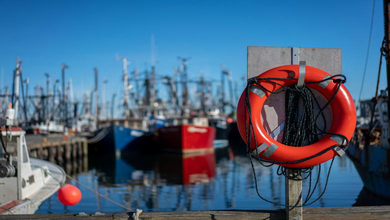 life buoy on a floating dock